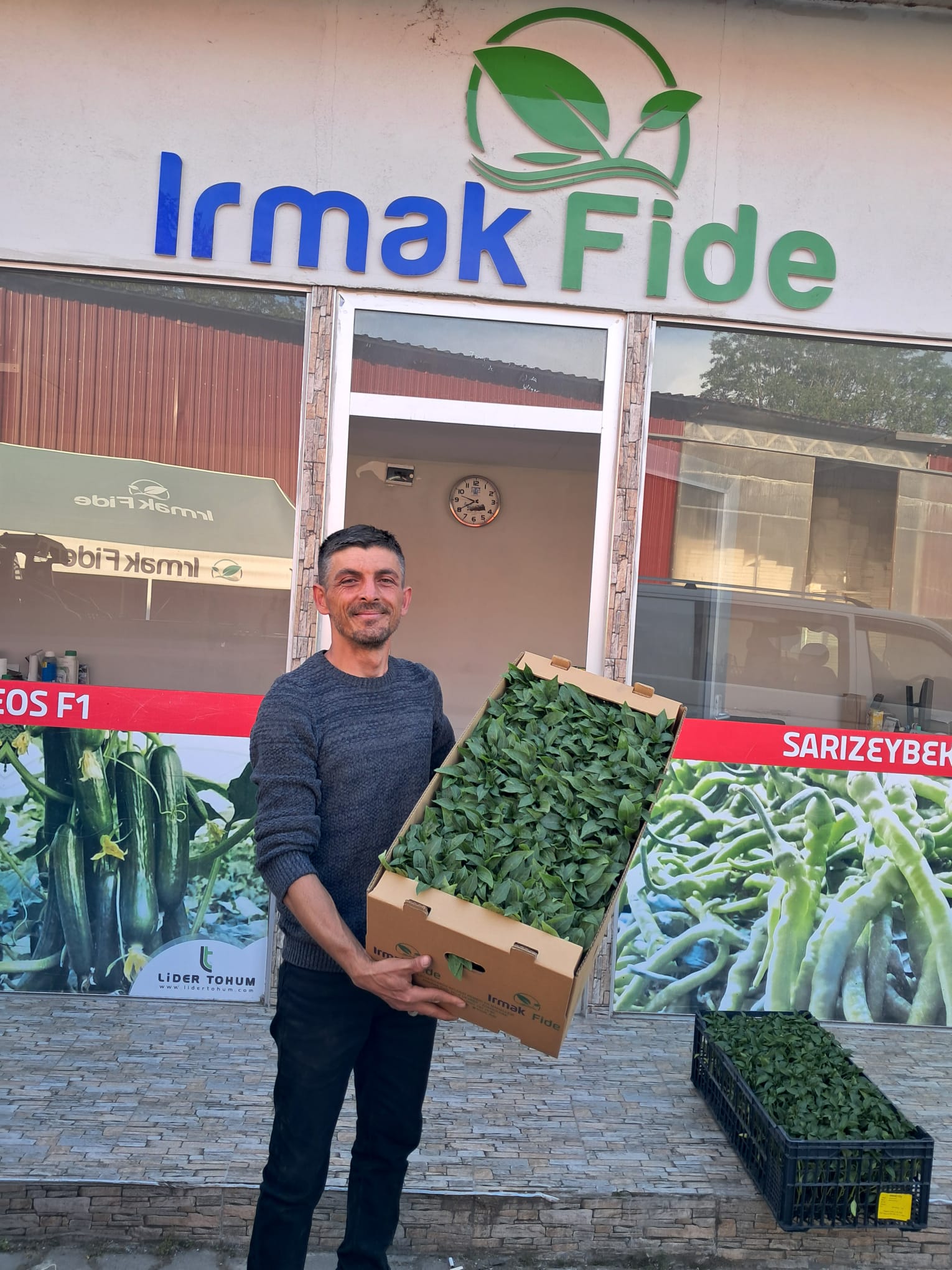 İnci Çiçeği Tarımhane Ziraat